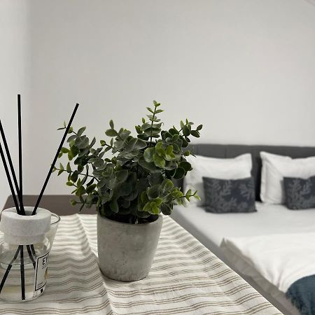 The N Apartment Κλουζ-Ναπόκα Εξωτερικό φωτογραφία
