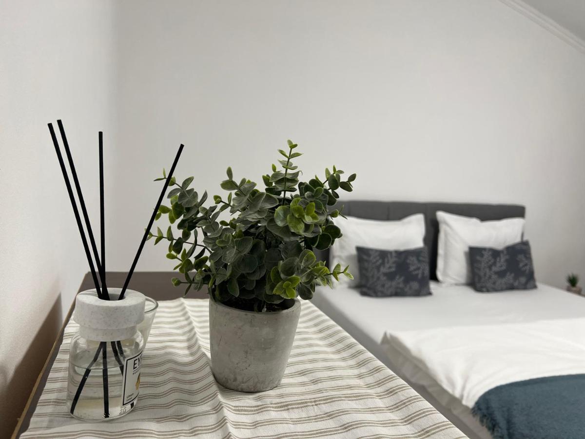 The N Apartment Κλουζ-Ναπόκα Εξωτερικό φωτογραφία