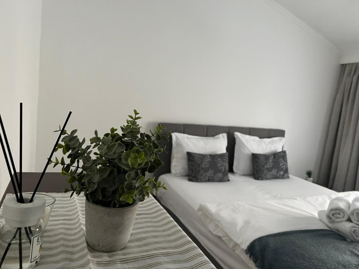 The N Apartment Κλουζ-Ναπόκα Εξωτερικό φωτογραφία